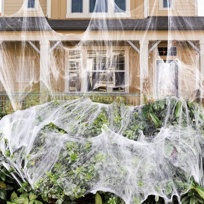 Spider Web & Props