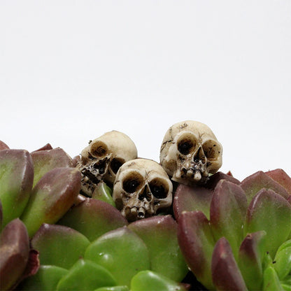 Mini Skull Head Figurines