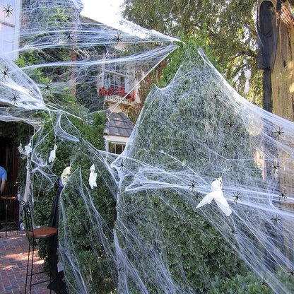 Spider Web & Props