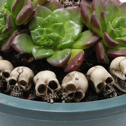 Mini Skull Head Figurines