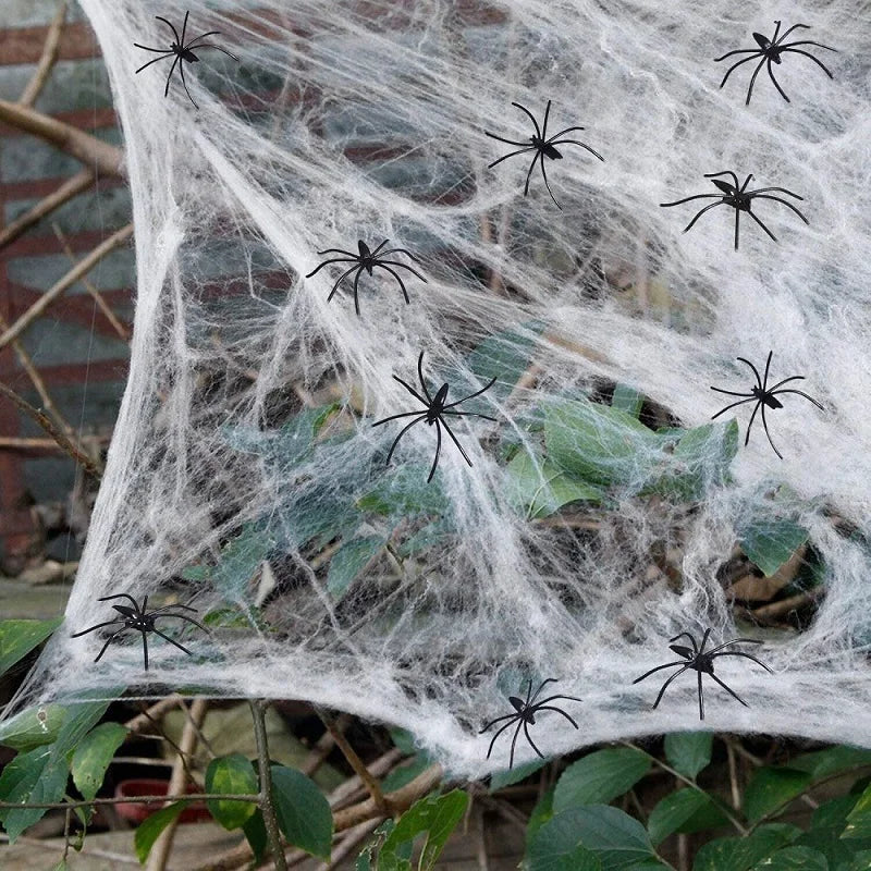 Spider Web & Props